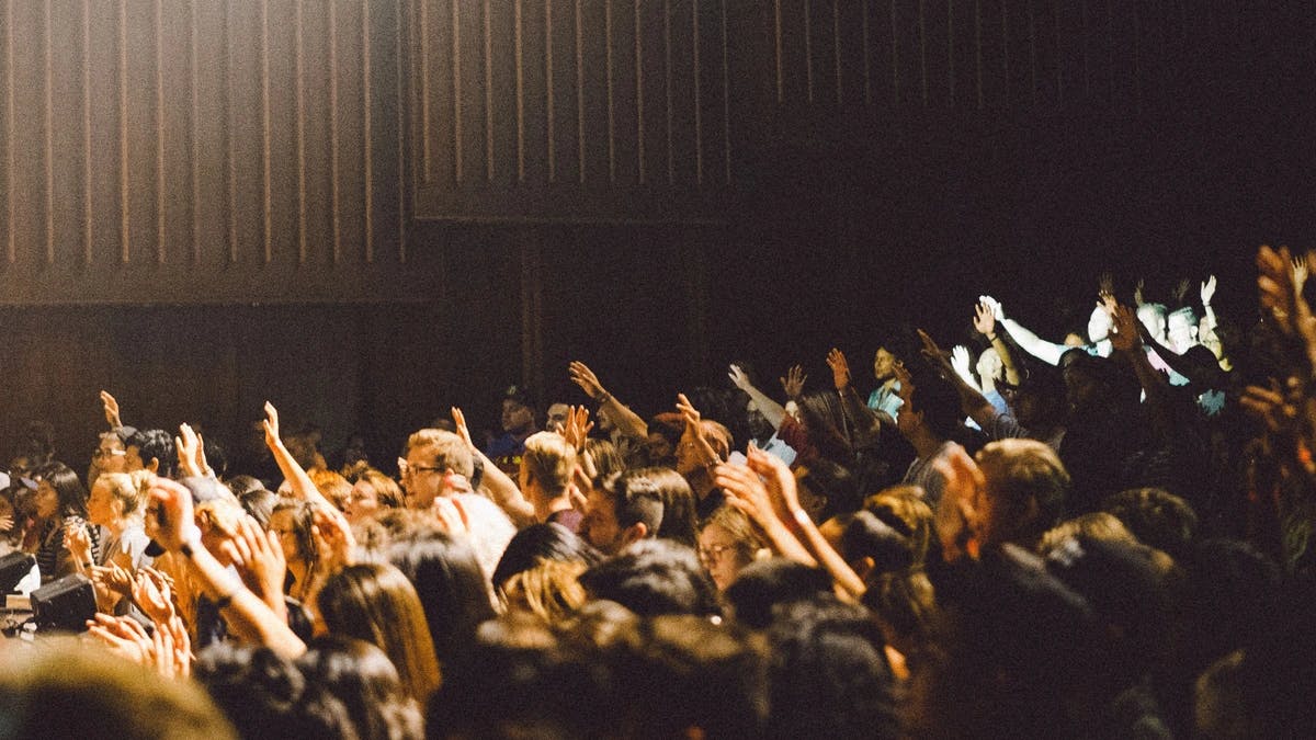 group of people raising their hands