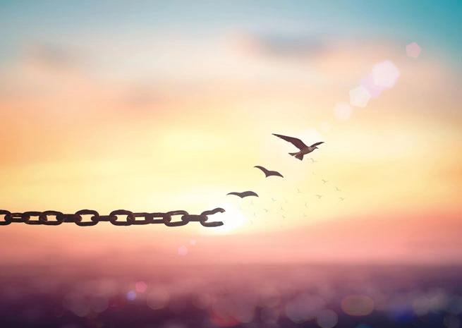 chain that becomes birds with sunset in the back